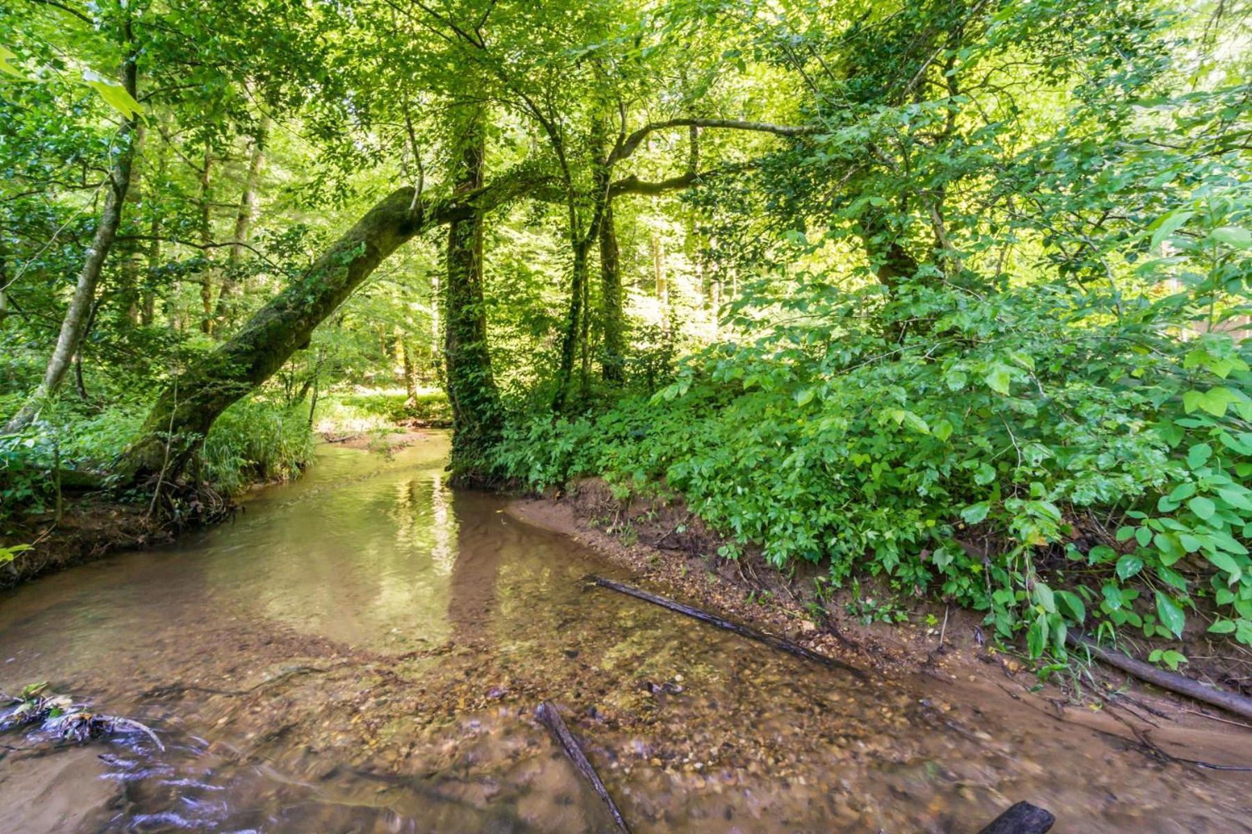 Villa New Listing! Wine Country Retreat - 2 Bed, Hot Tub Dahlonega Exterior foto